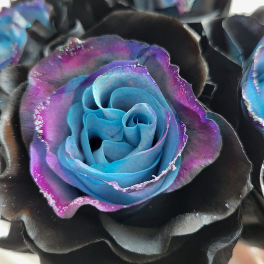 Galaxy Rose Bouquet 1-Stem