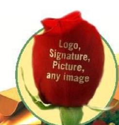 Personalized Rose