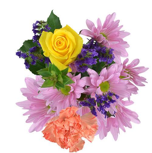 Color Me Purple - Flowers For FundraisingColor Me PurpleColor Me PurpleColor Me PurpleColor Me Purple