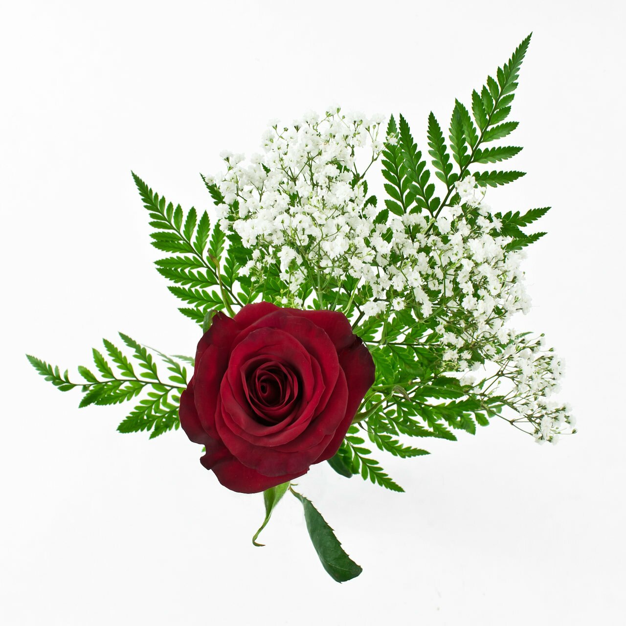 Red Rose Bouquet with Red Glitter 1-Stem