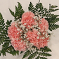 Carnation Bouquet 6-Stem