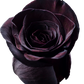 Black Painted Rose Bouquets