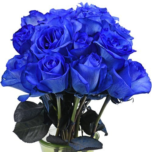 Tinted Blue Roses - Bulk