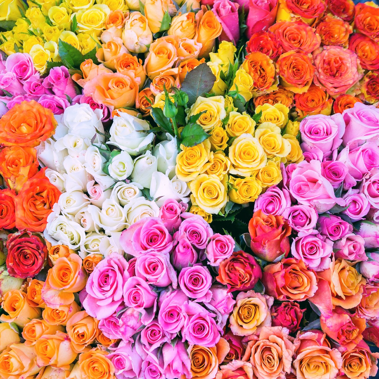 What are the cheapest flowers to buy in bulk? - Blooms By The Box
