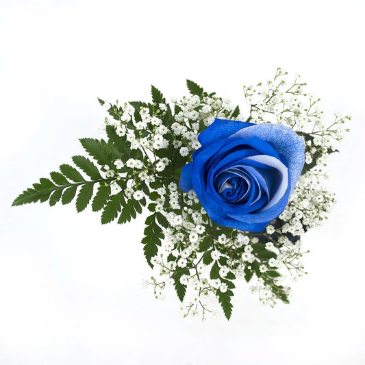 White and Blue dyed roses 1-stem - 60