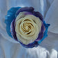 Pear Rose Bouquet 12-Stem