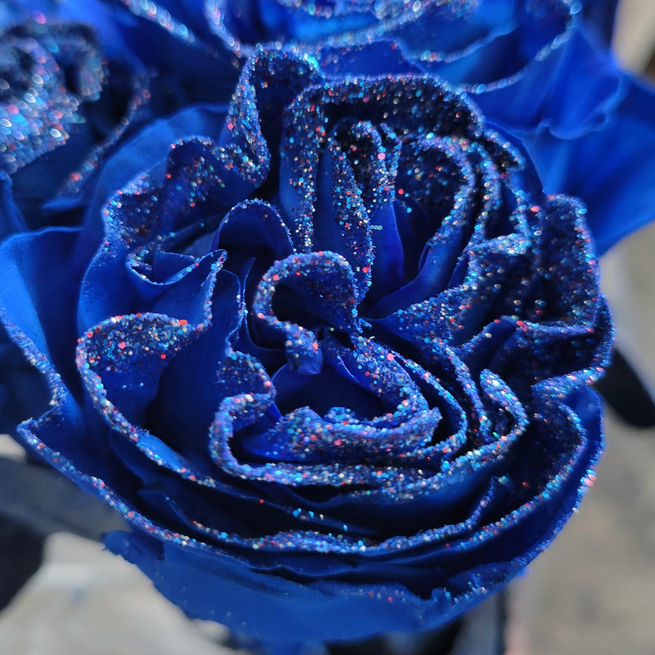 Fabulous Rose Bouquet with Glitter 12-stem | Wholesale Rose Bouquets ...