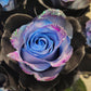 Galaxy Rose Bouquet 3-Stem