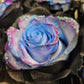 Galaxy Rose Bouquet 3-Stem