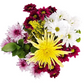 Grower's Choice Bouquet - Quick Ship!