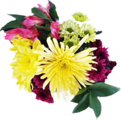 Grower's Choice Bouquet - Quick Ship!