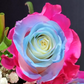 Sequoia Rose Bouquet 1-Stem