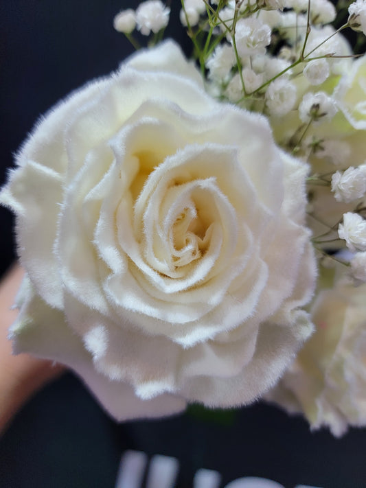 White Frosted Rose Bouquet 1-Stem