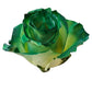 Painted Rose Bouquets (Your Color Choice) 1-Stem