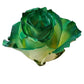 Painted Rose Bouquets (Your Color Choice) 6-Stem