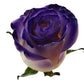 Painted Rose Bouquets (Your Color Choice) 6-Stem