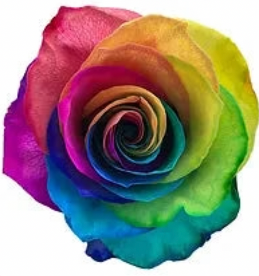 Tie Dyed Rainbow Roses - Bulk