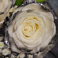 White Rose Bouquet with Black Tips and Silver Glitter 6-Stem