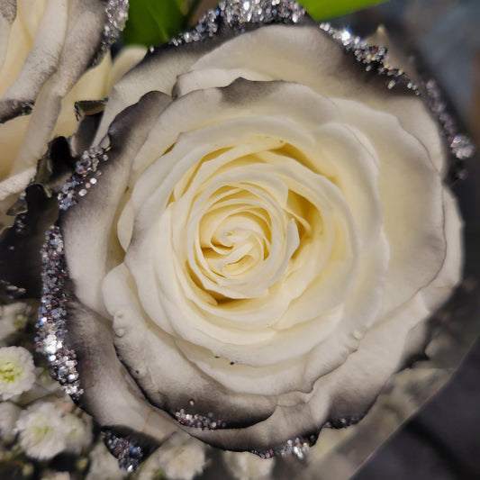 White Rose Bouquet with Black Tips and Silver Glitter 12-Stem