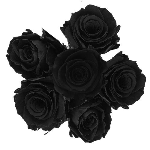 Black Painted Rose Bouquets - Flowers For FundraisingBlack Painted Rose BouquetsBlack Painted Rose BouquetsBlack Painted Rose BouquetsBlack Painted Rose Bouquets