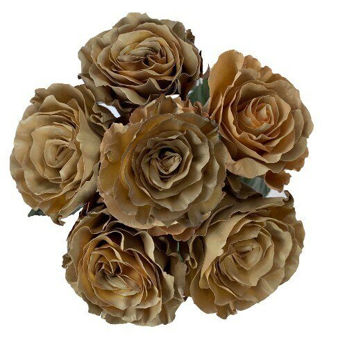 Cafe Au Lait Beige Painted Roses - Bulk - Flowers For FundraisingCafe Au Lait Beige Painted Roses - BulkCafe Au Lait Beige Painted Roses - BulkCafe Au Lait Beige Painted Roses - BulkCafe Au Lait Beige Painted Roses - Bulk