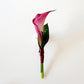 Calla Lily Boutonnieres - Flowers For FundraisingCalla Lily BoutonnieresCalla Lily BoutonnieresCalla Lily BoutonnieresCalla Lily Boutonnieres