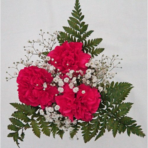 Carnation Bouquet 3 - Stem - Flowers For FundraisingCarnation Bouquet 3 - StemCarnation Bouquet 3 - StemCarnation Bouquet 3 - StemCarnation Bouquet 3 - Stem