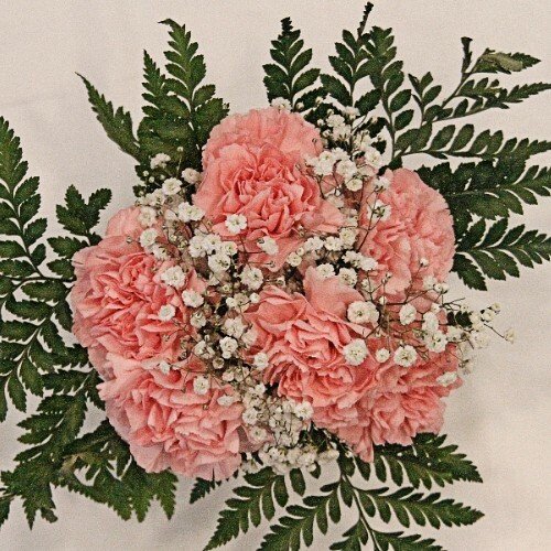 Carnation Bouquet 6 - Stem - Flowers For FundraisingCarnation Bouquet 6 - StemCarnation Bouquet 6 - StemCarnation Bouquet 6 - StemCarnation Bouquet 6 - Stem