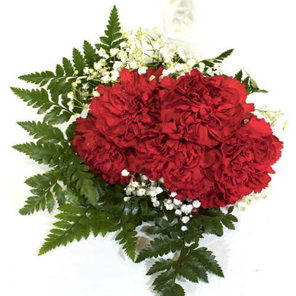 Carnation Bouquet 6 - Stem - Flowers For FundraisingCarnation Bouquet 6 - StemCarnation Bouquet 6 - StemCarnation Bouquet 6 - StemCarnation Bouquet 6 - Stem