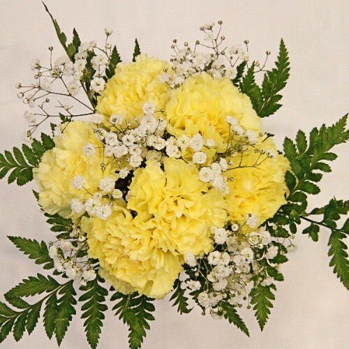 Carnation Bouquet 6 - Stem - Flowers For FundraisingCarnation Bouquet 6 - StemCarnation Bouquet 6 - StemCarnation Bouquet 6 - StemCarnation Bouquet 6 - Stem