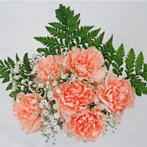 Carnation Bouquet 6 - Stem - Flowers For FundraisingCarnation Bouquet 6 - StemCarnation Bouquet 6 - StemCarnation Bouquet 6 - StemCarnation Bouquet 6 - Stem