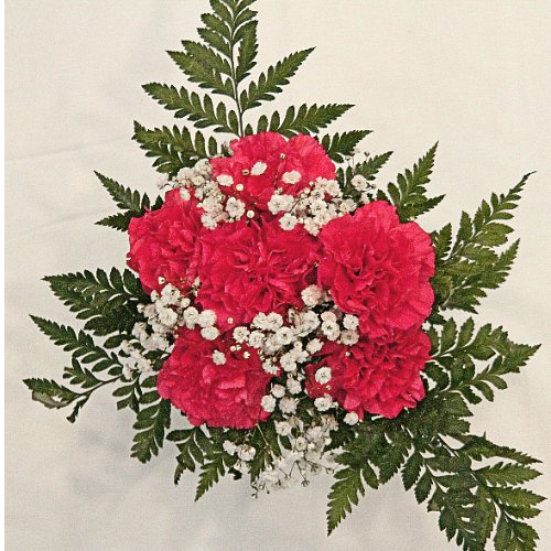 Carnation Bouquet 6 - Stem - Flowers For FundraisingCarnation Bouquet 6 - StemCarnation Bouquet 6 - StemCarnation Bouquet 6 - StemCarnation Bouquet 6 - Stem