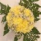 Carnation Bouquets 12 - Stem - Flowers For FundraisingCarnation Bouquets 12 - StemCarnation Bouquets 12 - StemCarnation Bouquets 12 - StemCarnation Bouquets 12 - Stem