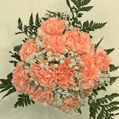 Carnation Bouquets 12 - Stem - Flowers For FundraisingCarnation Bouquets 12 - StemCarnation Bouquets 12 - StemCarnation Bouquets 12 - StemCarnation Bouquets 12 - Stem