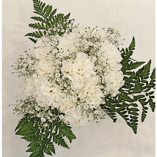 Carnation Bouquets 12 - Stem - Flowers For FundraisingCarnation Bouquets 12 - StemCarnation Bouquets 12 - StemCarnation Bouquets 12 - StemCarnation Bouquets 12 - Stem