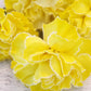 Custom Tinted Bulk Carnations - Flowers For FundraisingCustom Tinted Bulk CarnationsCustom Tinted Bulk CarnationsCustom Tinted Bulk CarnationsCustom Tinted Bulk Carnations