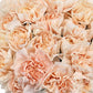 Fancy Bulk Carnations - Flowers For FundraisingFancy Bulk CarnationsFancy Bulk CarnationsFancy Bulk CarnationsFancy Bulk Carnations