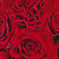 Hearts - 48LongStems.com