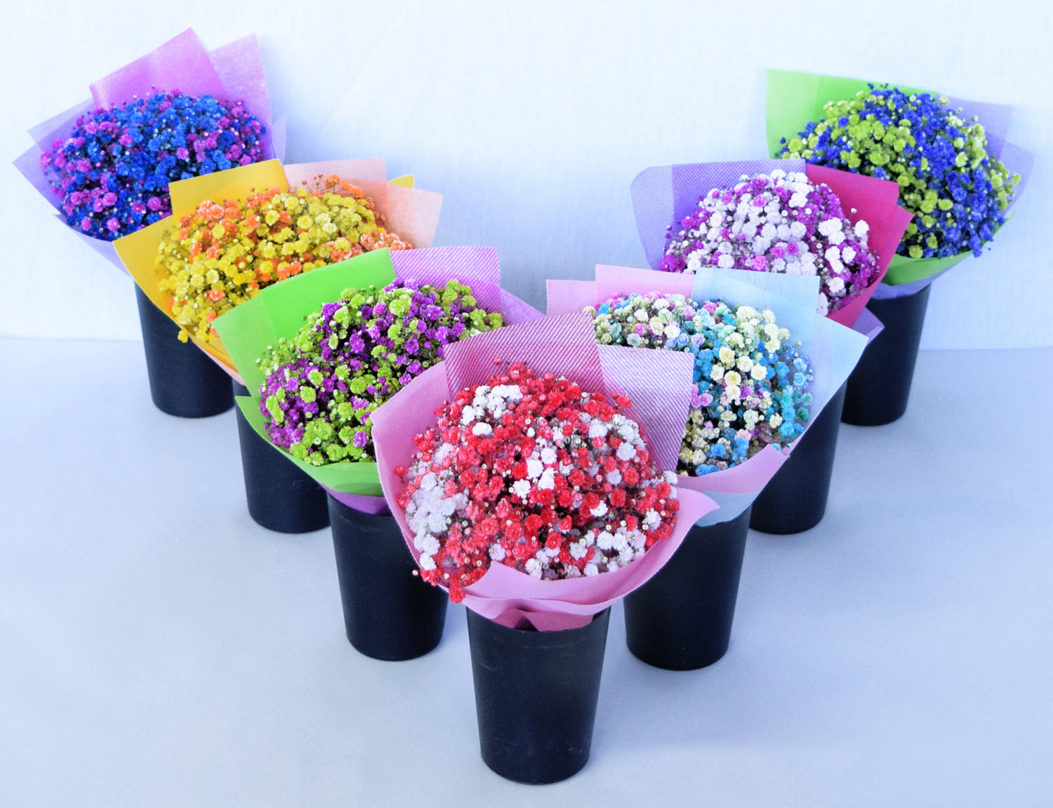 Dyed Baby's Breath Bouquets