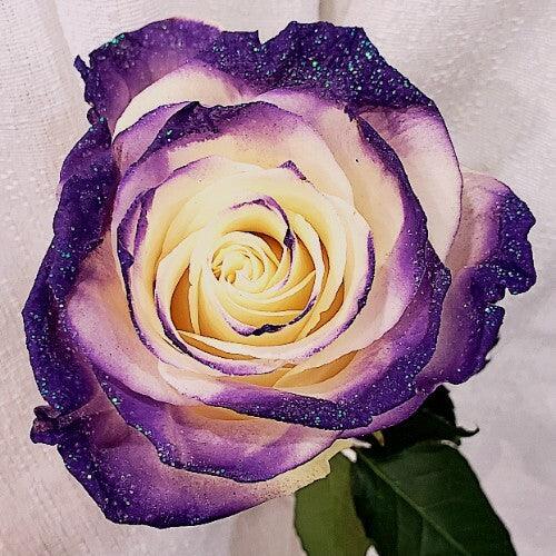 White Rose Bouquet with Dark Purple Glitter 12-Stem
