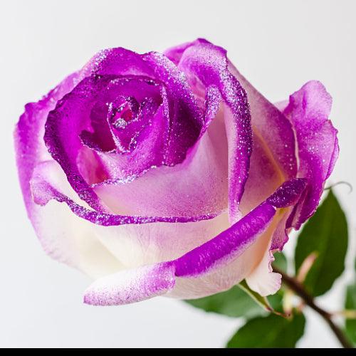 White Rose Bouquet with Purple Glitter 12-Stem