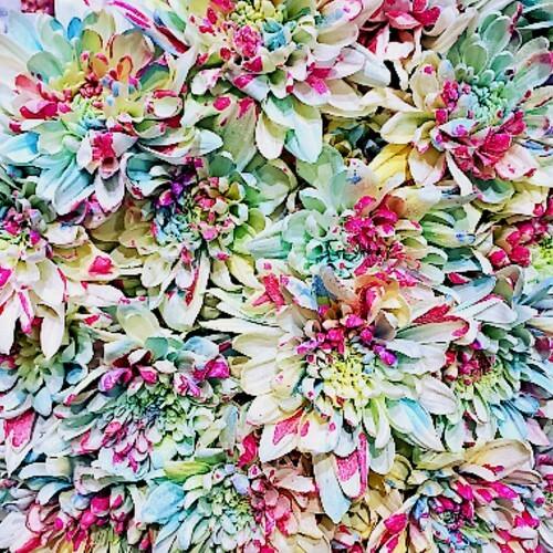 Painted Flower Bouquets