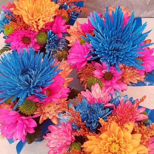 Mini Centerpieces, Dia De Los Muertos, 14 Pieces - Flowers For FundraisingMini Centerpieces, Dia De Los Muertos, 14 PiecesMini Centerpieces, Dia De Los Muertos, 14 PiecesMini Centerpieces, Dia De Los Muertos, 14 PiecesMini Centerpieces, Dia De Los Muertos, 14 Pieces