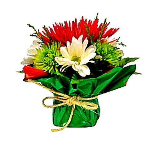 Mini Christmas Centerpieces, 14 pieces - Flowers For FundraisingMini Christmas Centerpieces, 14 piecesMini Christmas Centerpieces, 14 piecesMini Christmas Centerpieces, 14 piecesMini Christmas Centerpieces, 14 pieces