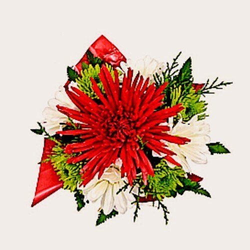 Mini Christmas Centerpieces, 14 pieces - Flowers For FundraisingMini Christmas Centerpieces, 14 piecesMini Christmas Centerpieces, 14 piecesMini Christmas Centerpieces, 14 piecesMini Christmas Centerpieces, 14 pieces