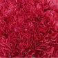 Mother's Day Bulk Standard Carnations - Flowers For FundraisingMother's Day Bulk Standard CarnationsMother's Day Bulk Standard CarnationsMother's Day Bulk Standard CarnationsMother's Day Bulk Standard Carnations