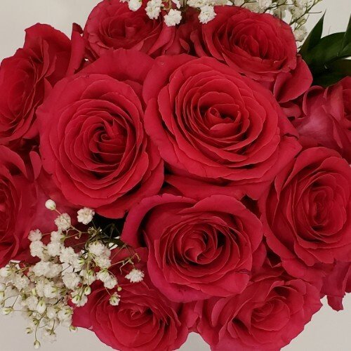 Mother's Day Rose Bouquets 12 - Stem - Flowers For FundraisingMother's Day Rose Bouquets 12 - StemMother's Day Rose Bouquets 12 - StemMother's Day Rose Bouquets 12 - StemMother's Day Rose Bouquets 12 - Stem