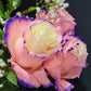 Northern Lights Rose Bouquet 1 - Stem - Flowers For FundraisingNorthern Lights Rose Bouquet 1 - StemNorthern Lights Rose Bouquet 1 - StemNorthern Lights Rose Bouquet 1 - StemNorthern Lights Rose Bouquet 1 - Stem