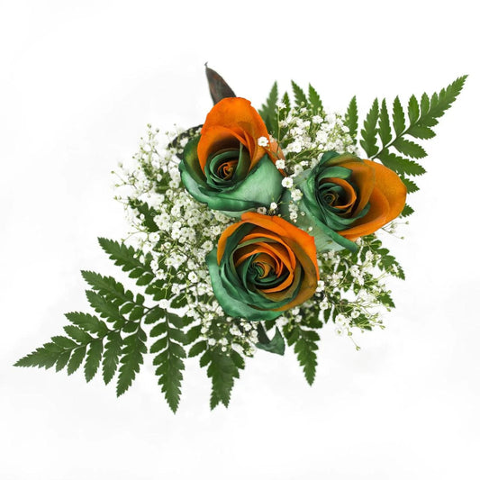 Orange and Green Dyed Rose Bouquet 3 - Stem - Flowers For FundraisingOrange and Green Dyed Rose Bouquet 3 - StemOrange and Green Dyed Rose Bouquet 3 - StemOrange and Green Dyed Rose Bouquet 3 - StemOrange and Green Dyed Rose Bouquet 3 - Stem