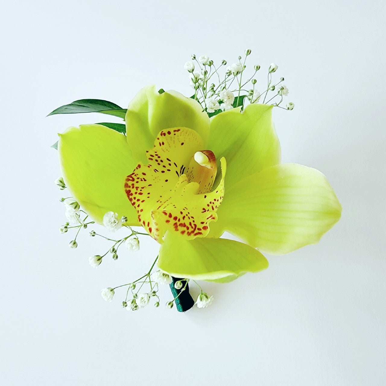 Orchid Boutonnieres - Flowers For FundraisingOrchid BoutonnieresOrchid BoutonnieresOrchid BoutonnieresOrchid Boutonnieres